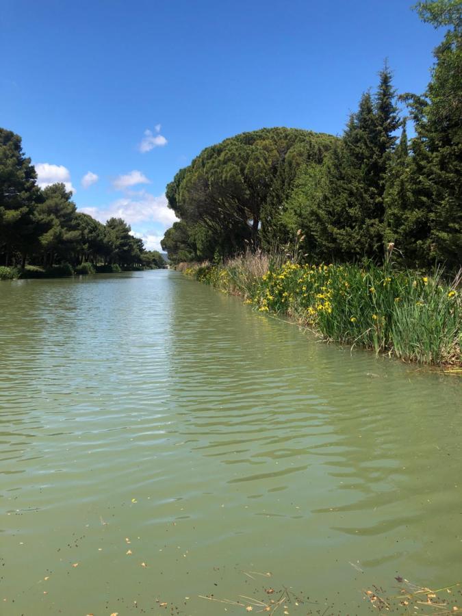 Sallèles-dʼAude Villa Pintourina מראה חיצוני תמונה